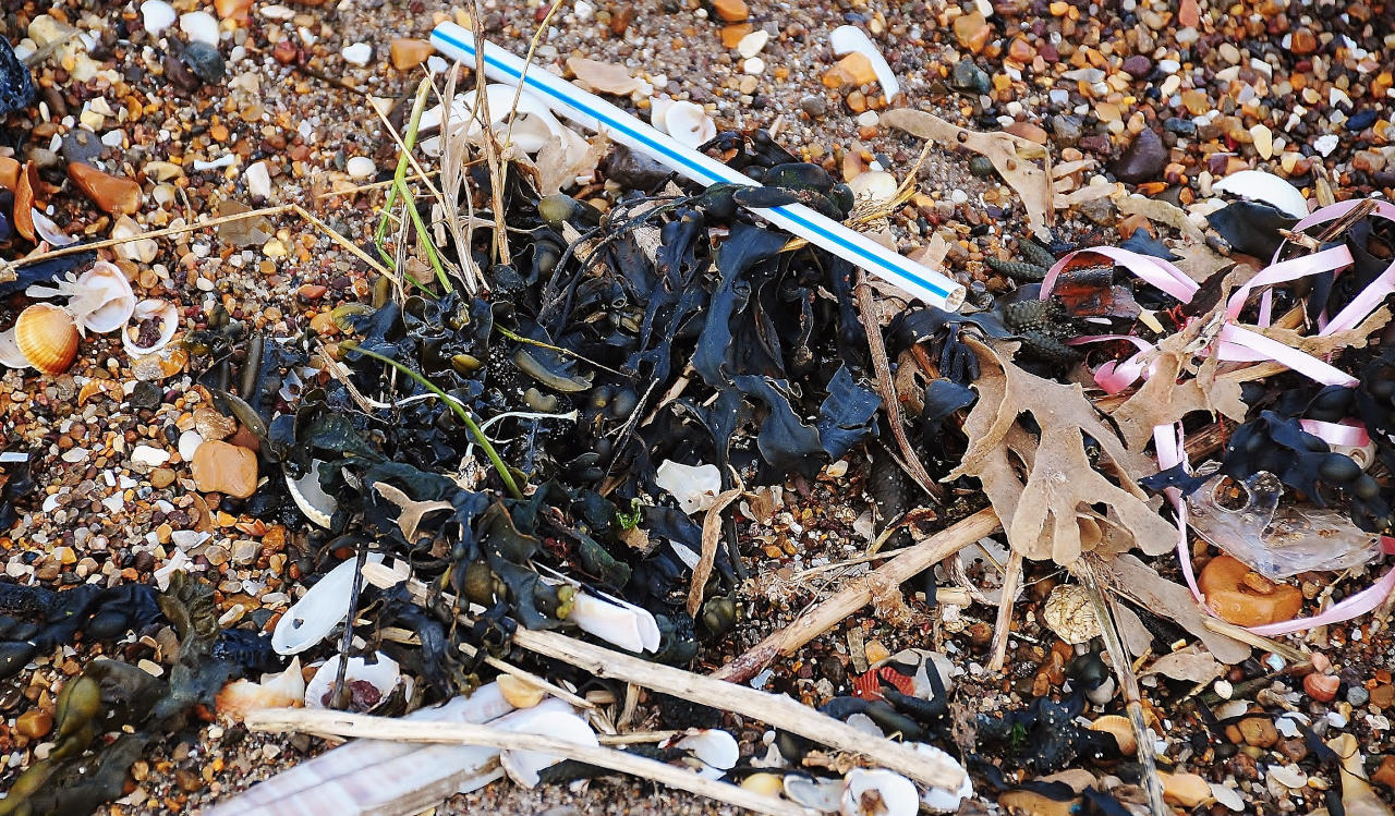 Ban Plastic Straws in Trinidad and Tobago